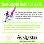 gato por lebre